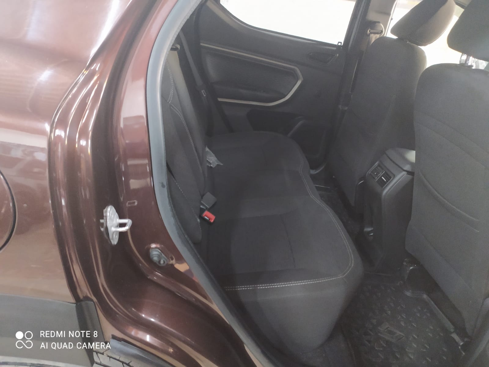 Kiger image 12 Kiger image 12