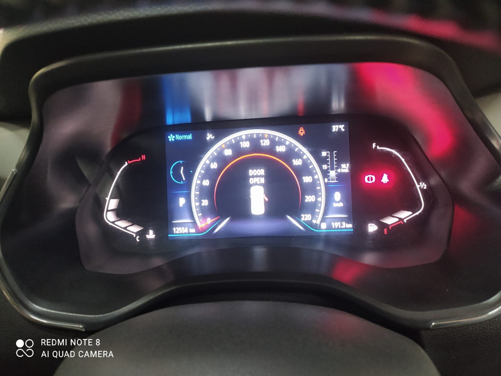 Kiger image 16 Kiger image 16