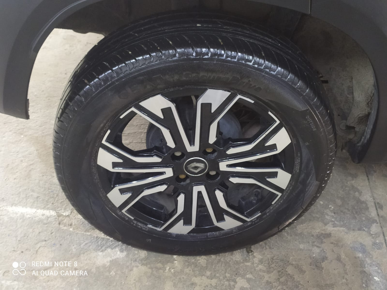 Kiger image 10 Kiger image 10