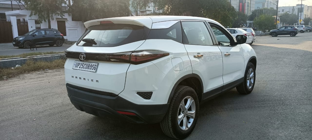 Harrier image 5 Harrier image 5