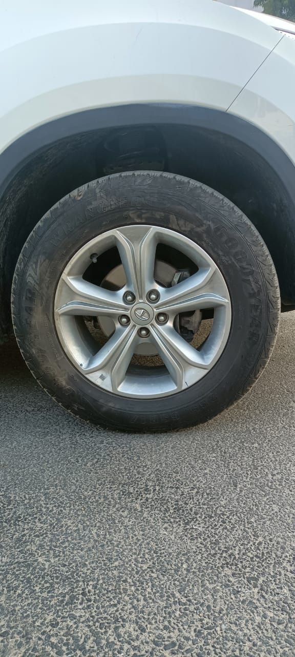 Harrier image 9 Harrier image 9