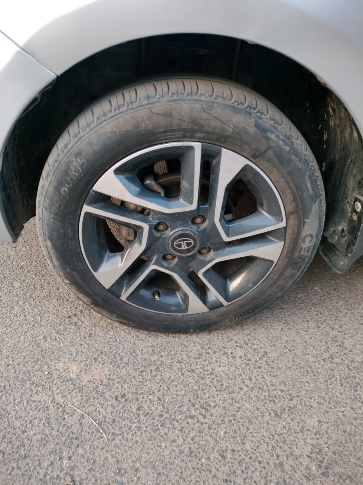 Tigor image 9 Tigor image 9