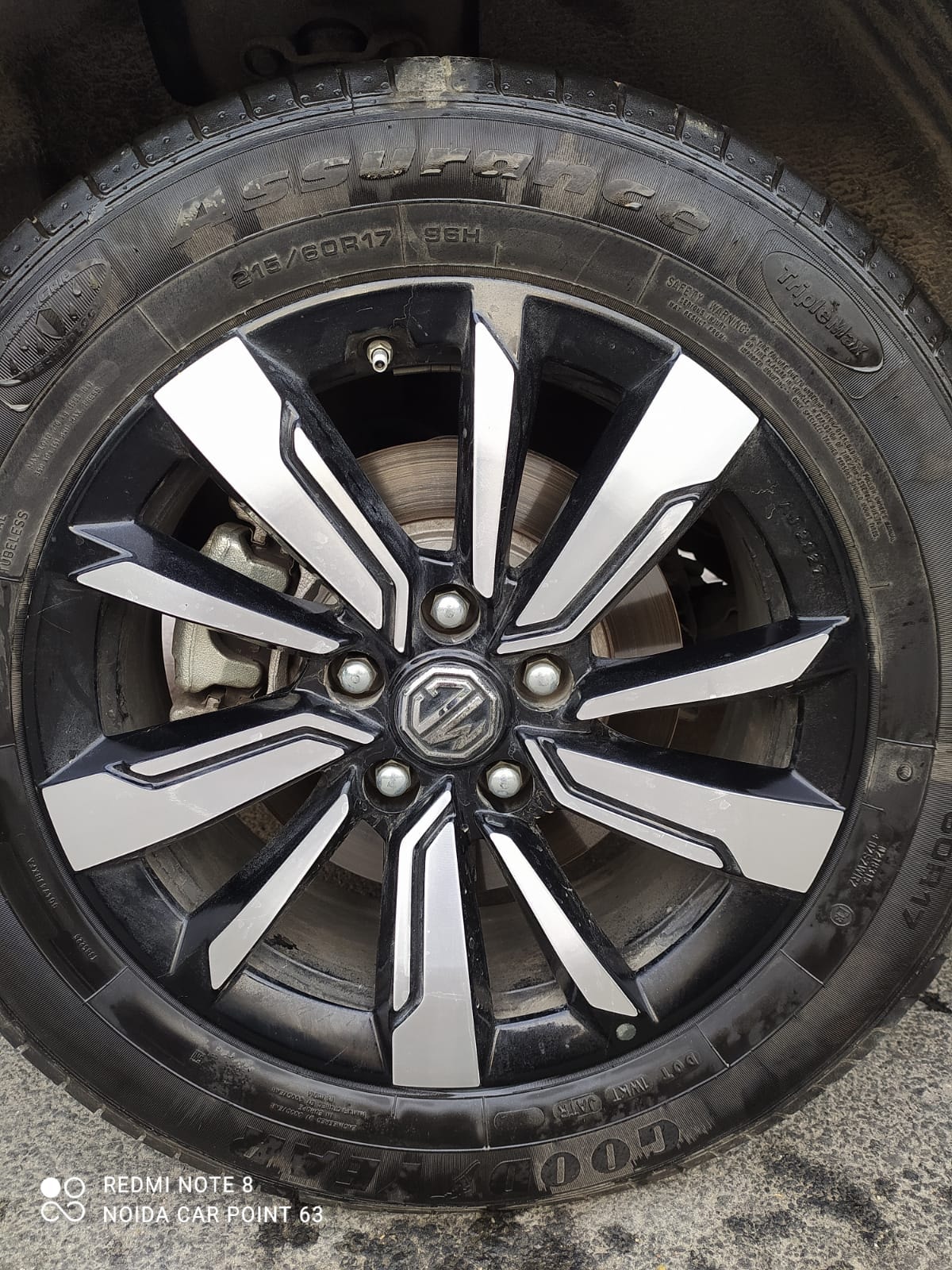 Hector image 9 Hector image 9