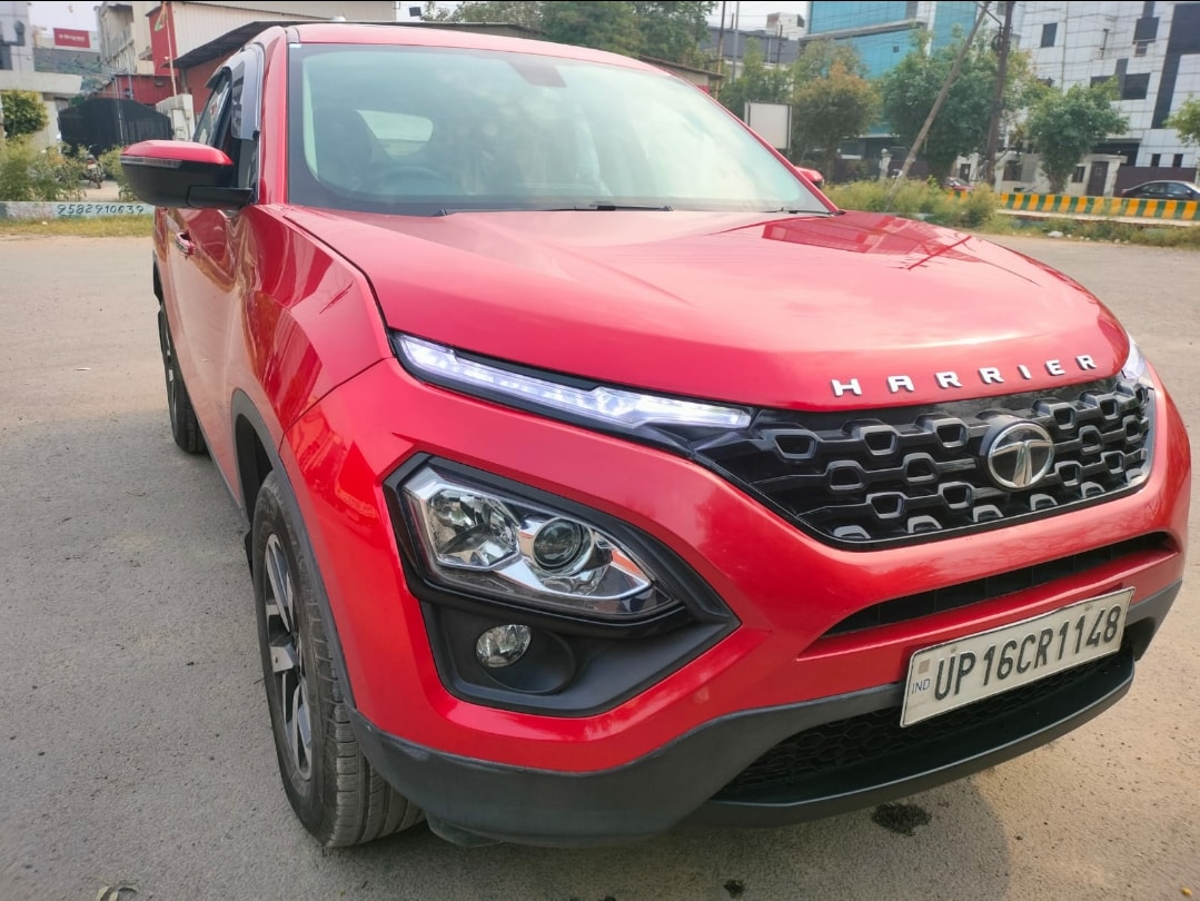 Harrier image 7 Harrier image 7