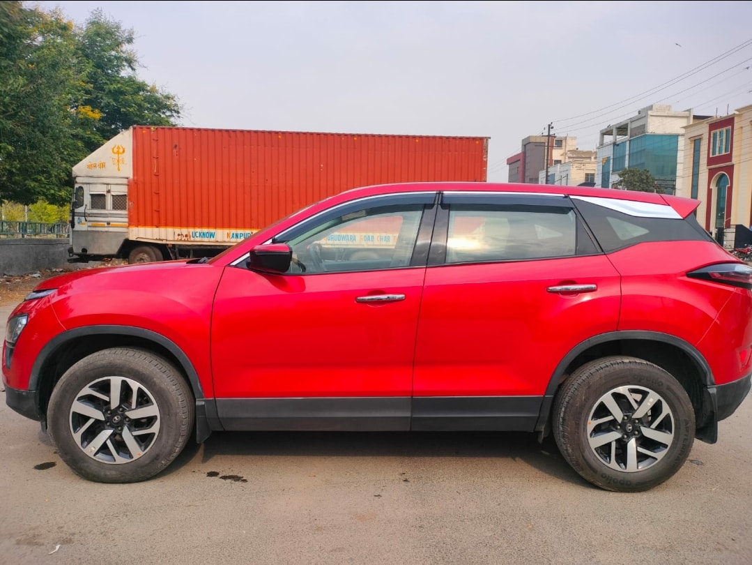 Harrier image 2 Harrier image 2