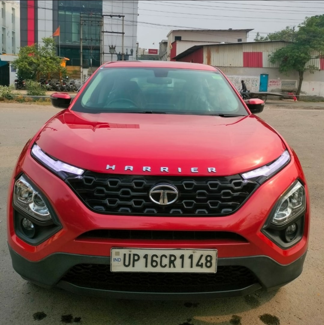 Harrier image 4 Harrier image 4