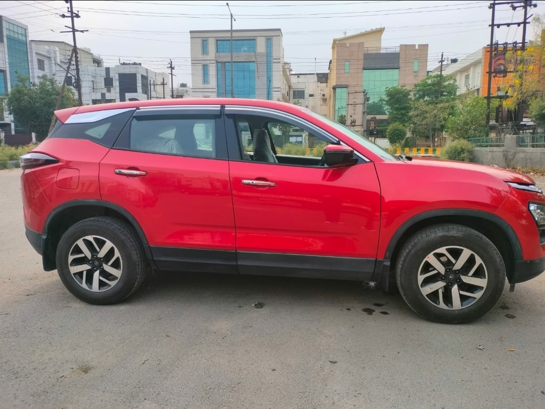 Harrier image 6 Harrier image 6