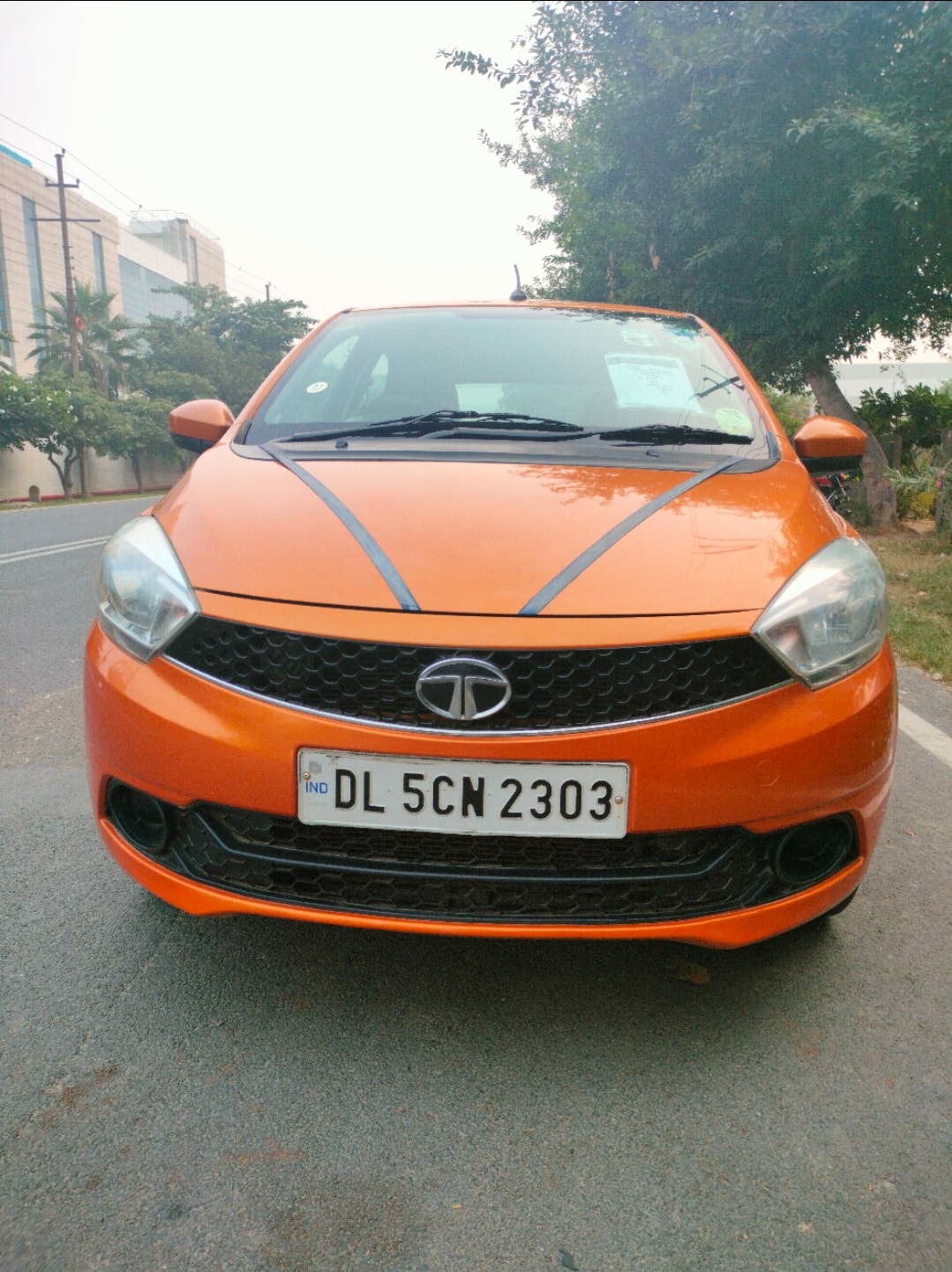 Tiago image 8 Tiago image 8