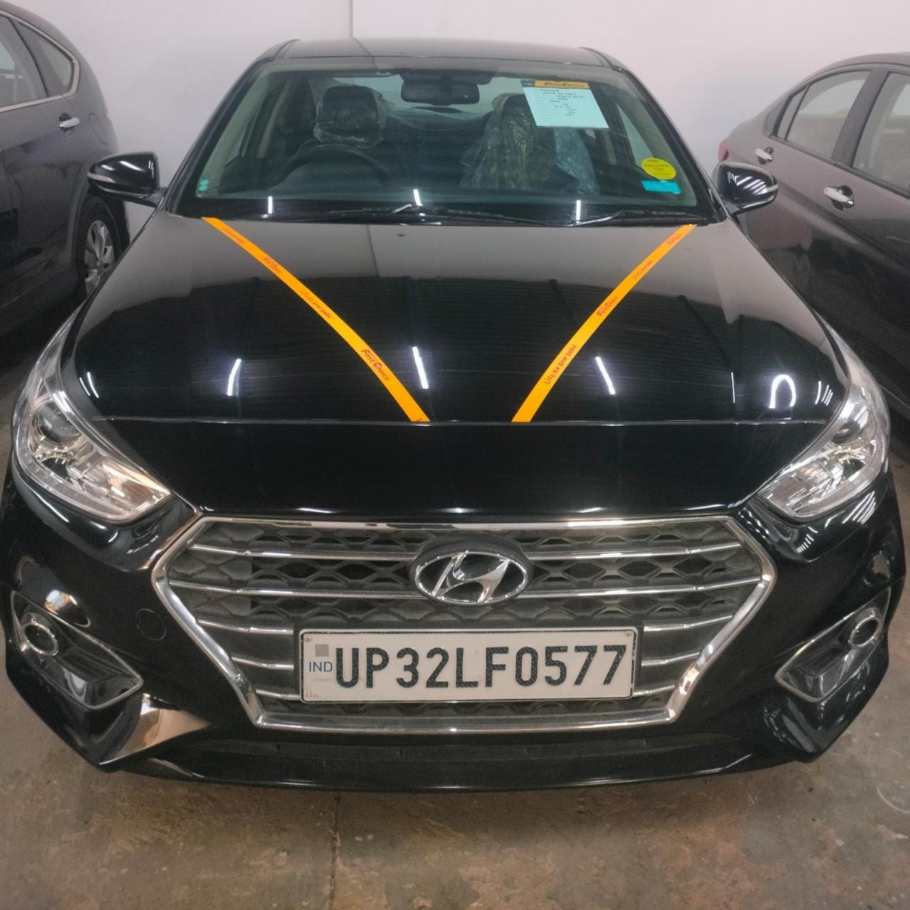 Verna image 8 Verna image 8