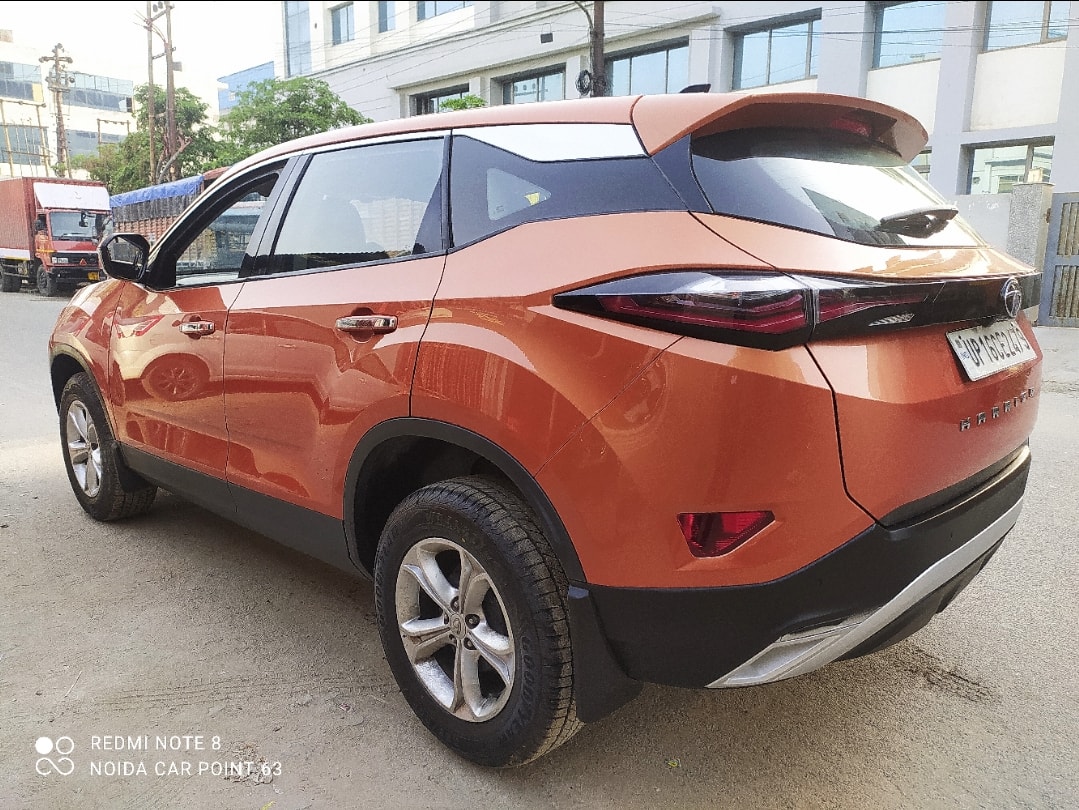 Harrier image 3 Harrier image 3