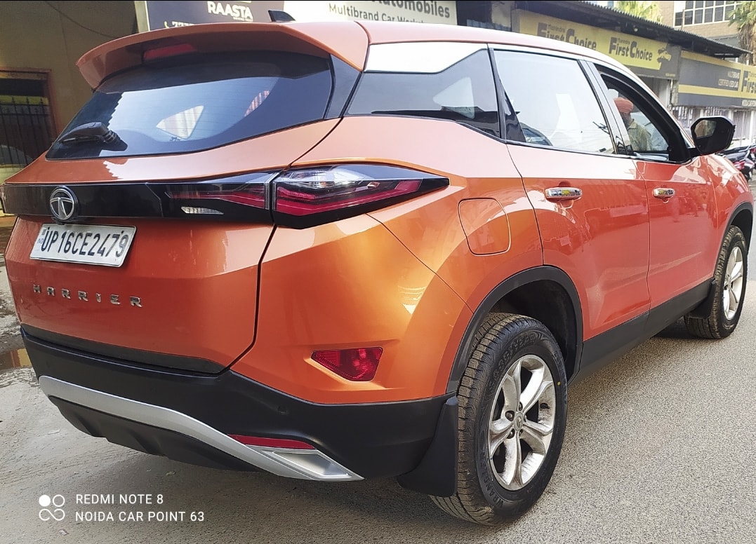 Harrier image 5 Harrier image 5