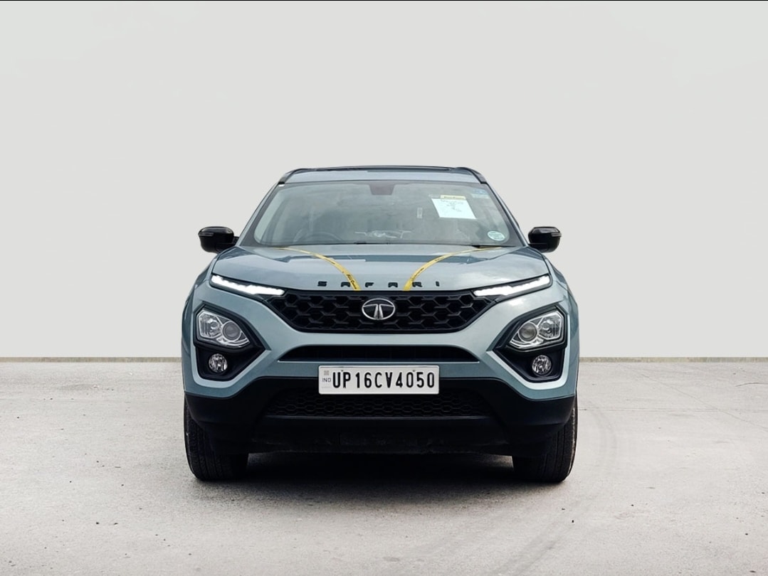 Safari image 8 Safari image 8