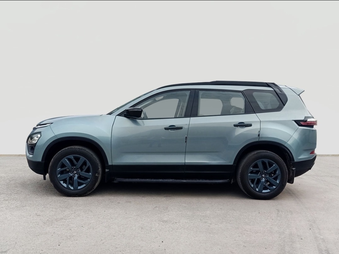 Safari image 2 Safari image 2