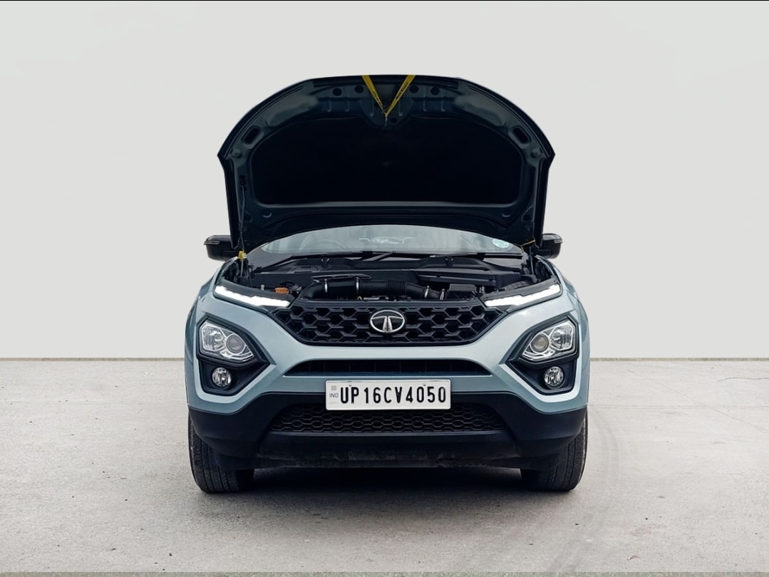 Safari image 13 Safari image 13