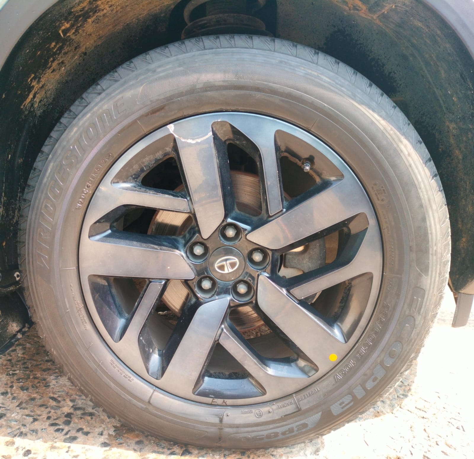 Safari image 9 Safari image 9