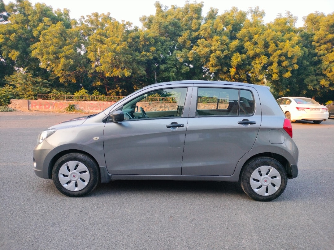 Celerio image 2 Celerio image 2