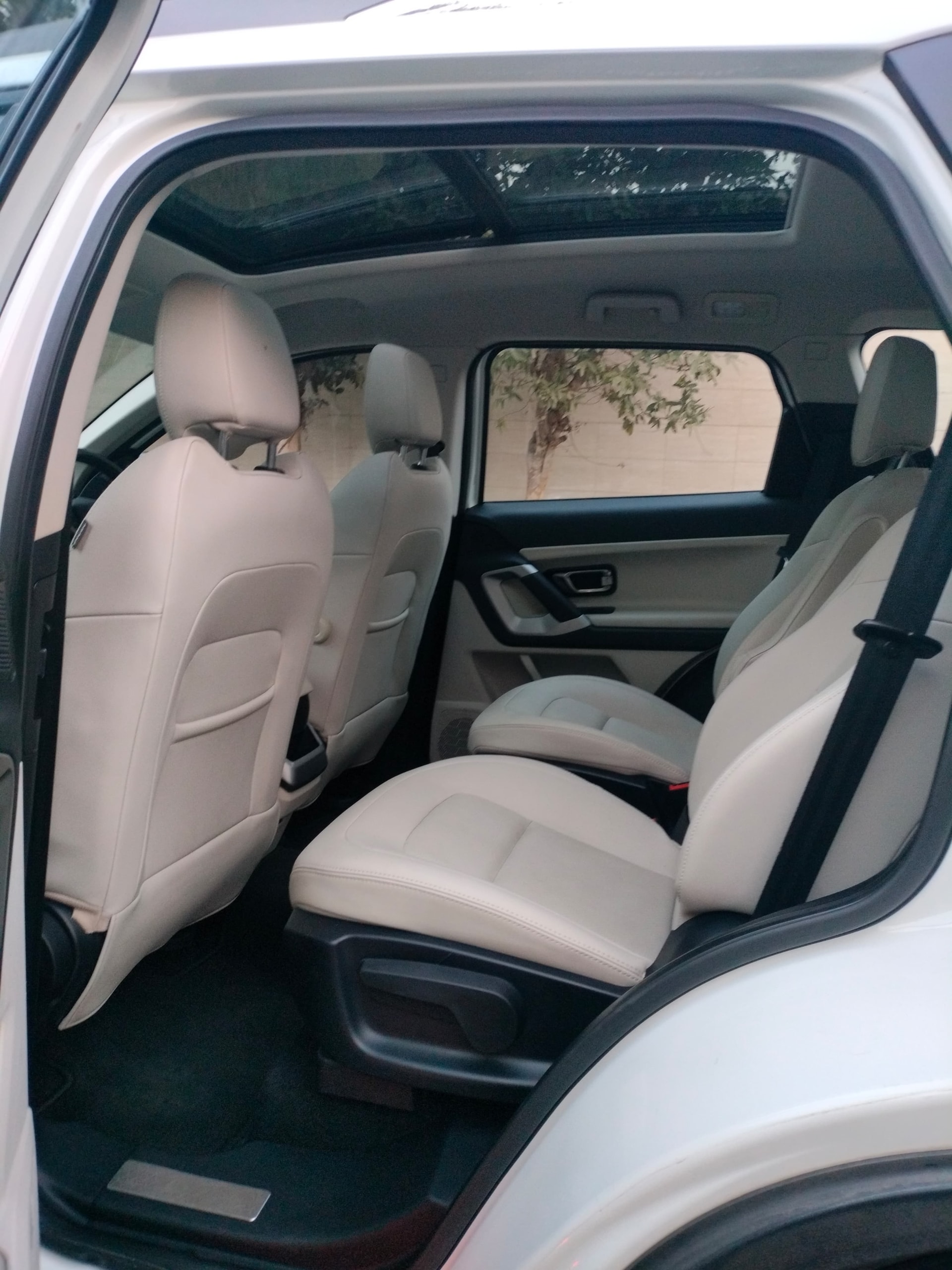 Safari image 17 Safari image 17