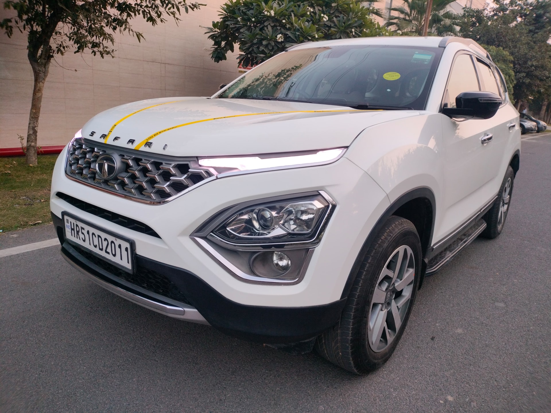 Safari image 1 Safari image 1