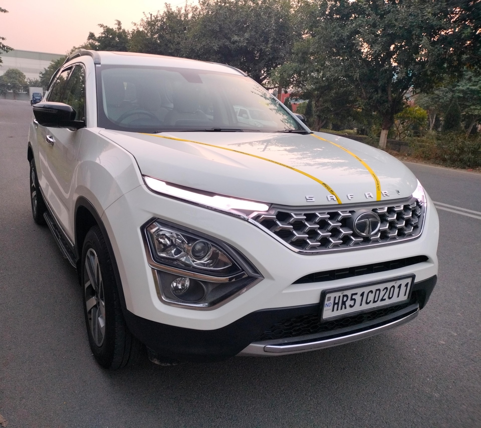 Safari image 7 Safari image 7