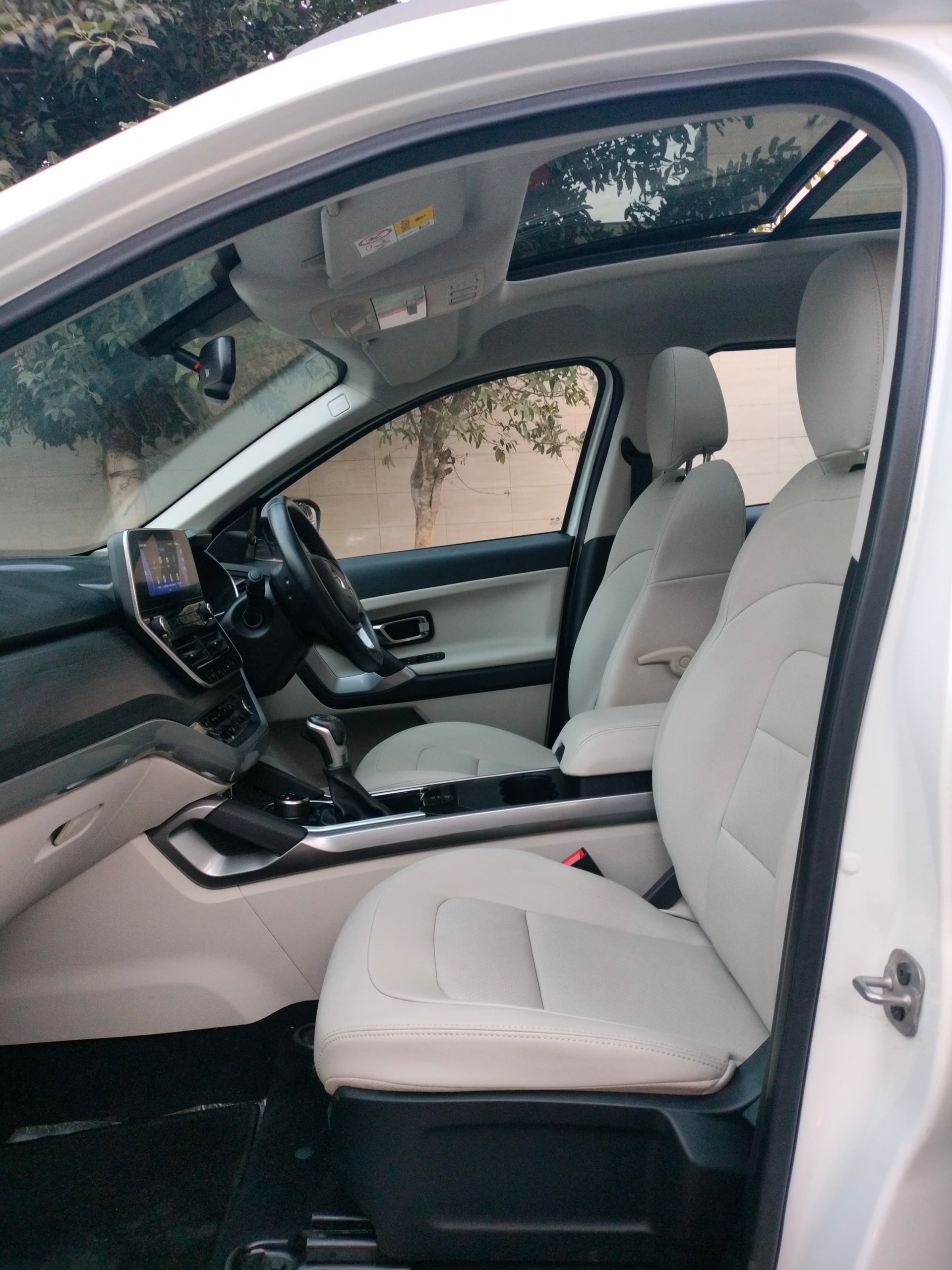 Safari image 16 Safari image 16