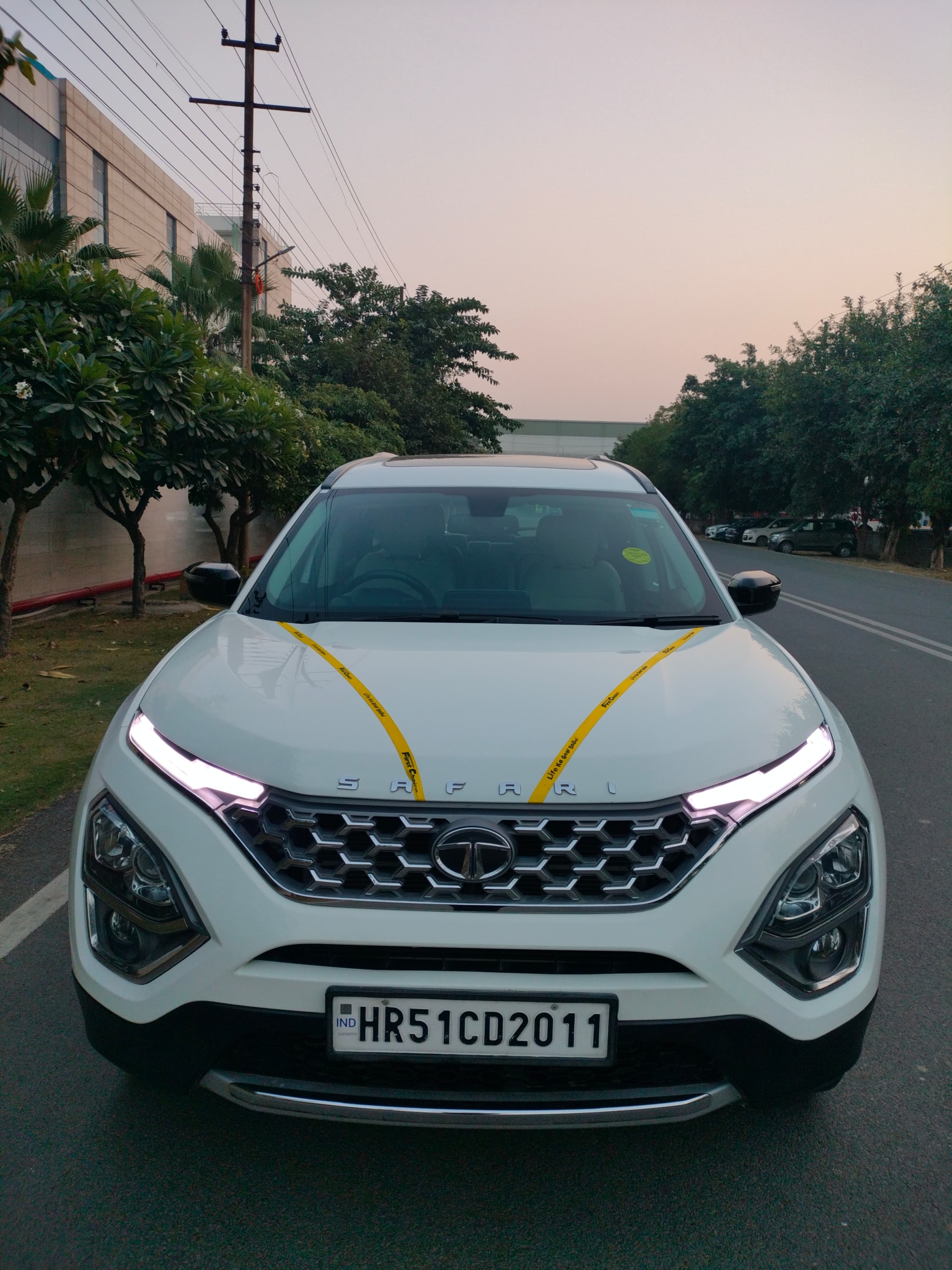 Safari image 8 Safari image 8