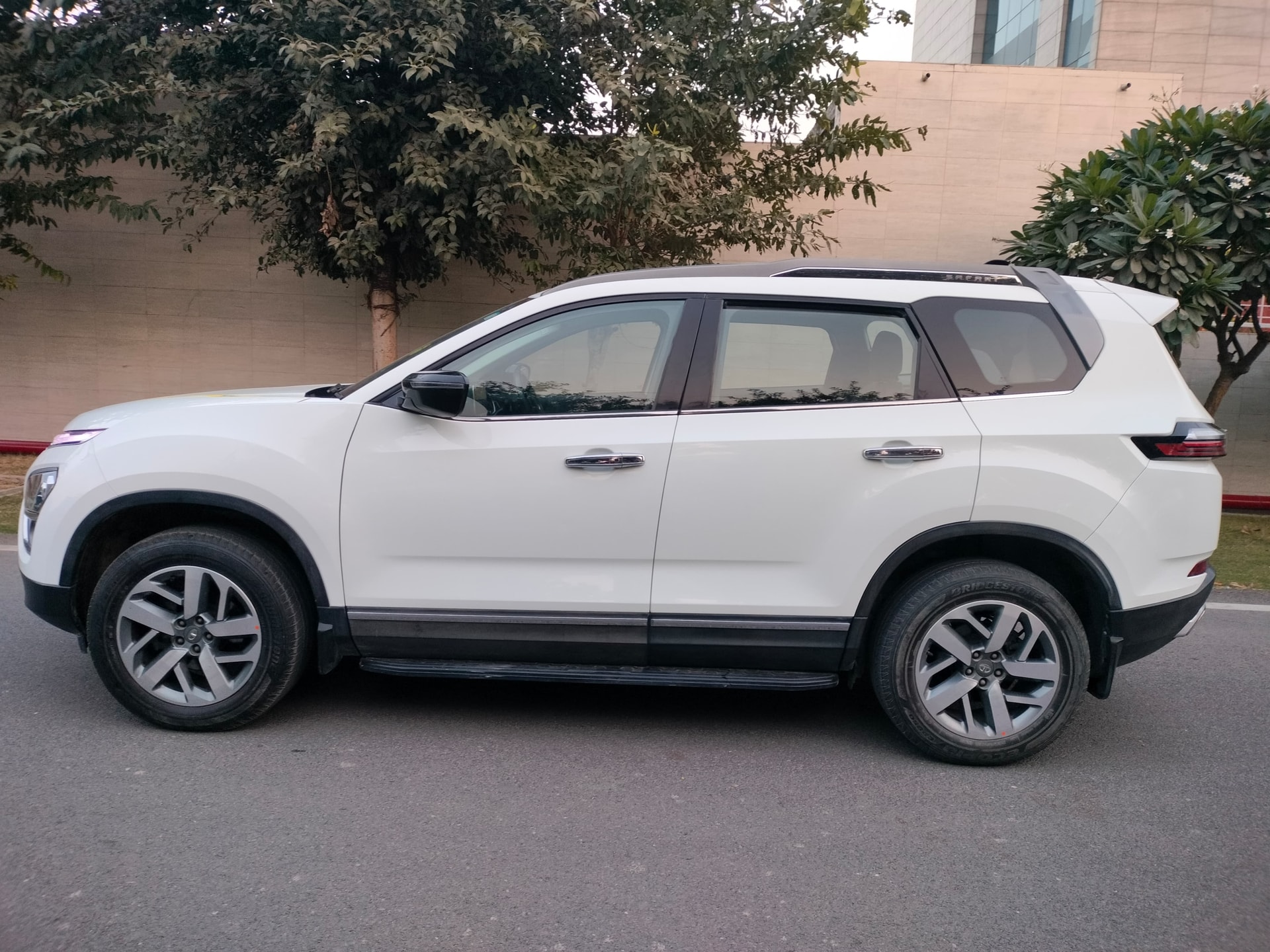 Safari image 2 Safari image 2