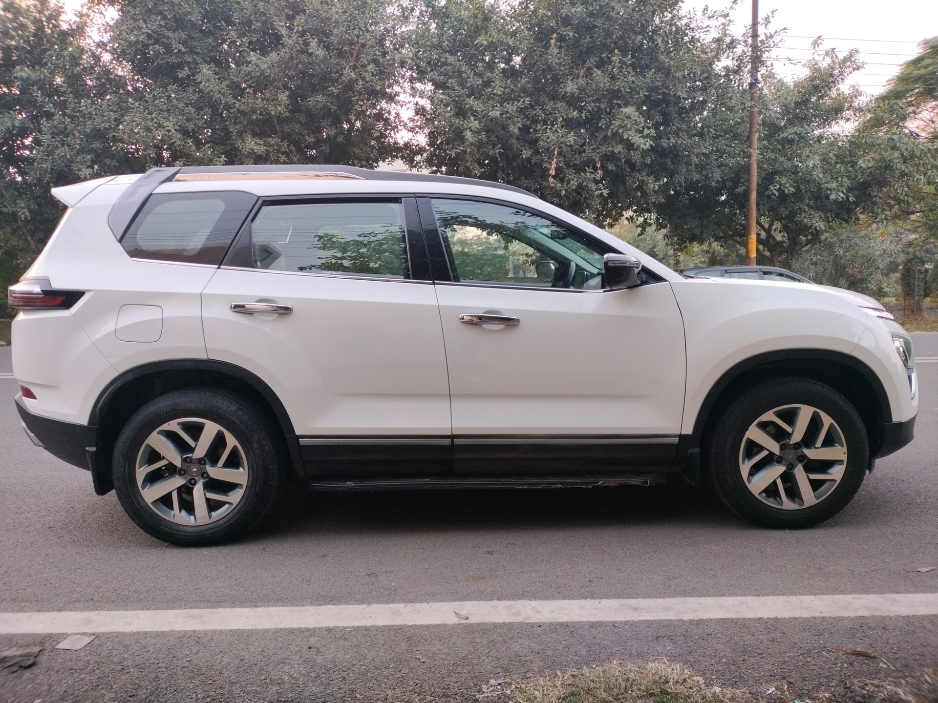 Safari image 6 Safari image 6