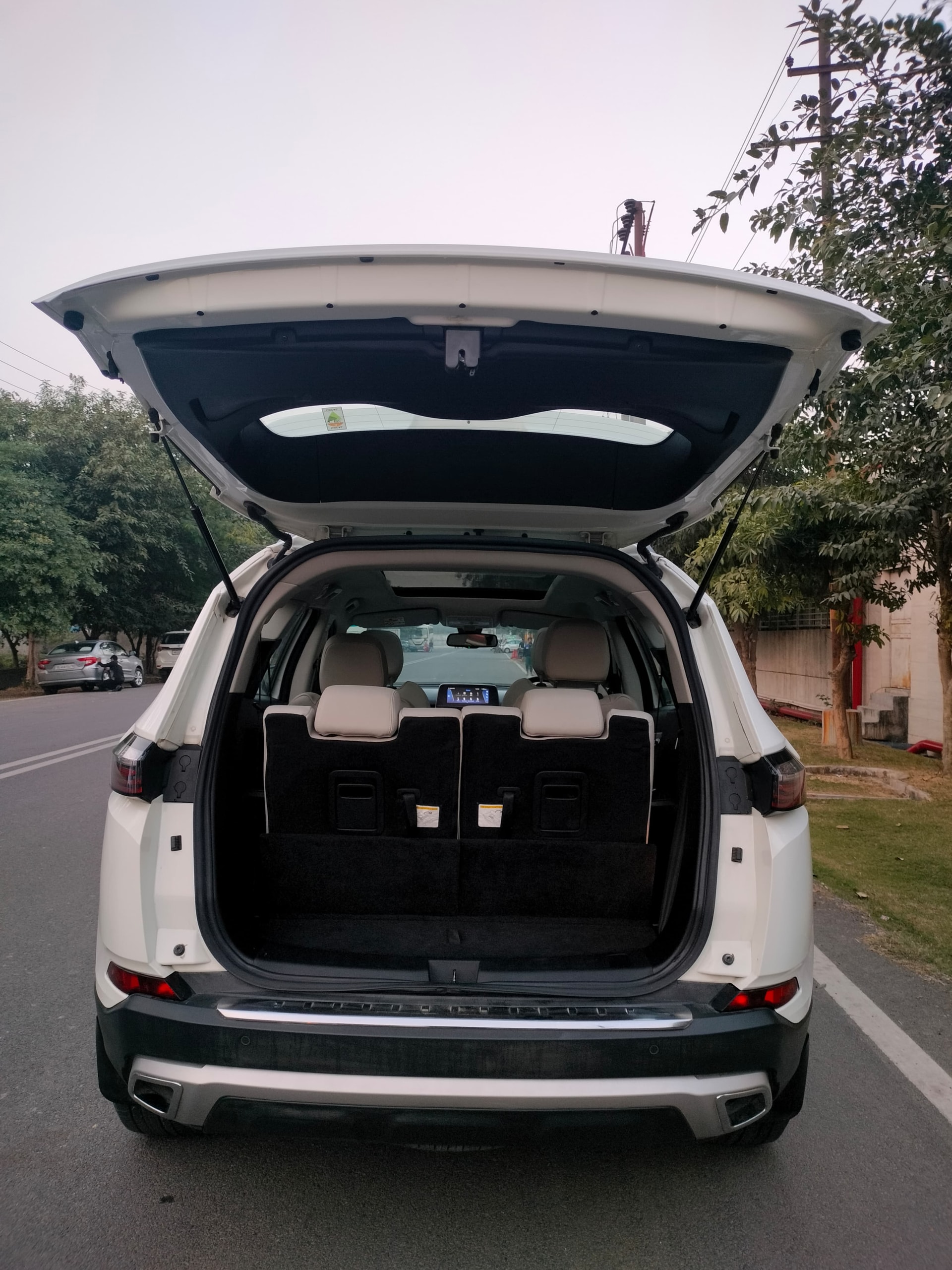 Safari image 10 Safari image 10