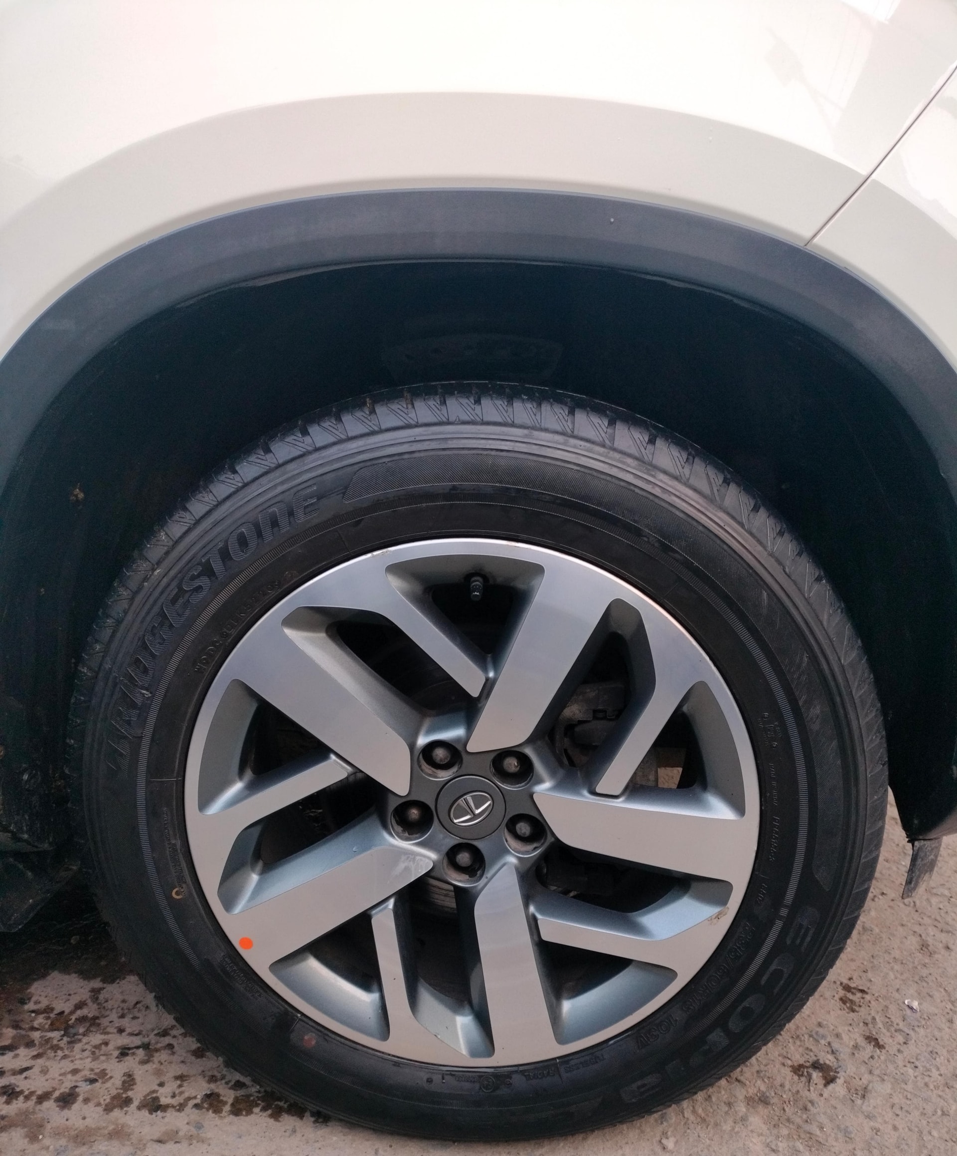 Safari image 9 Safari image 9