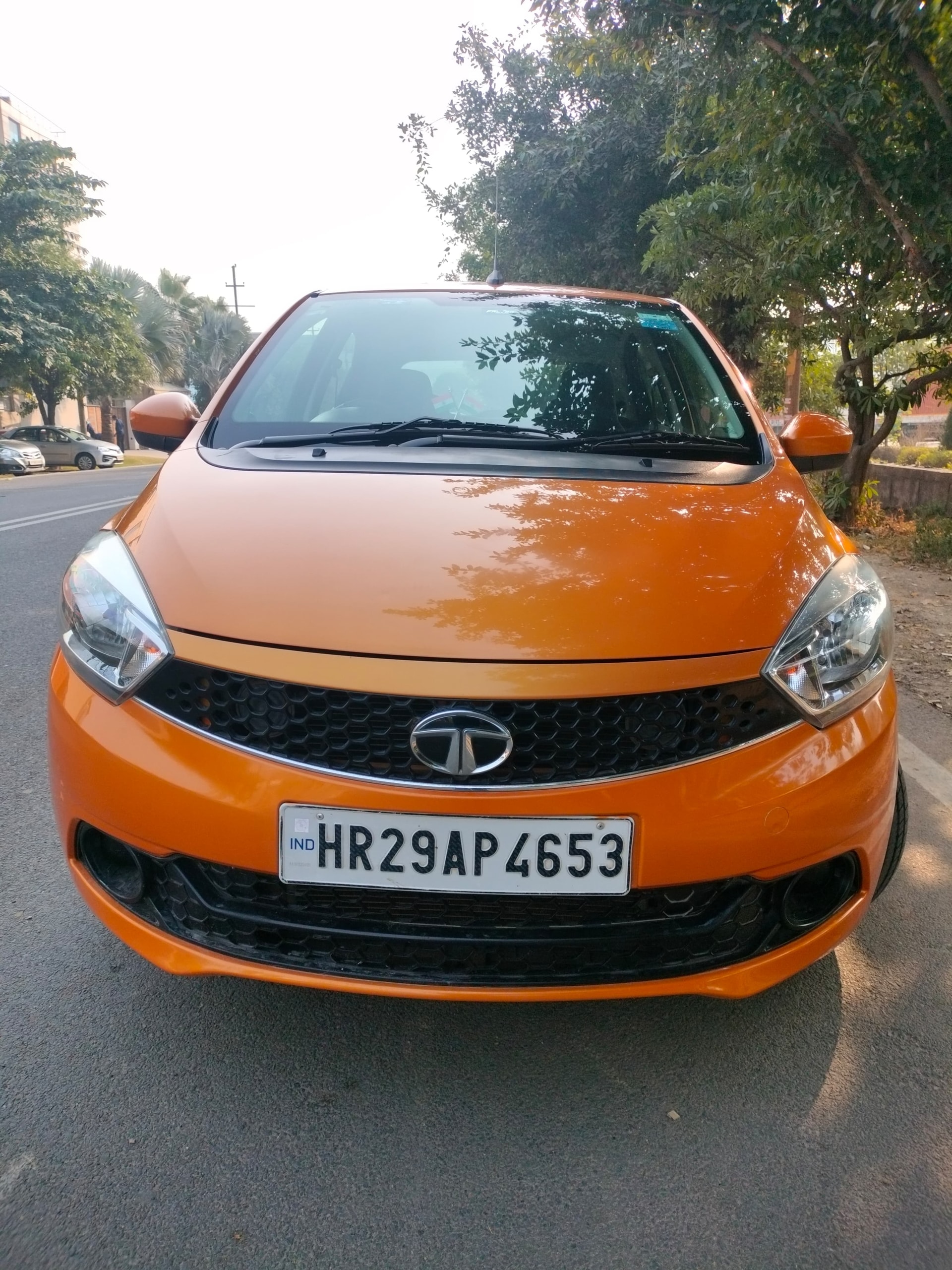 Tiago image 4 Tiago image 4