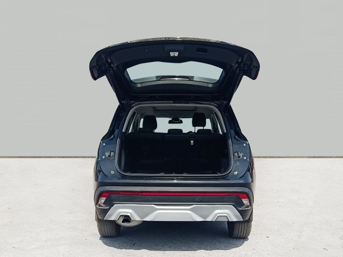 Hector image 10 Hector image 10