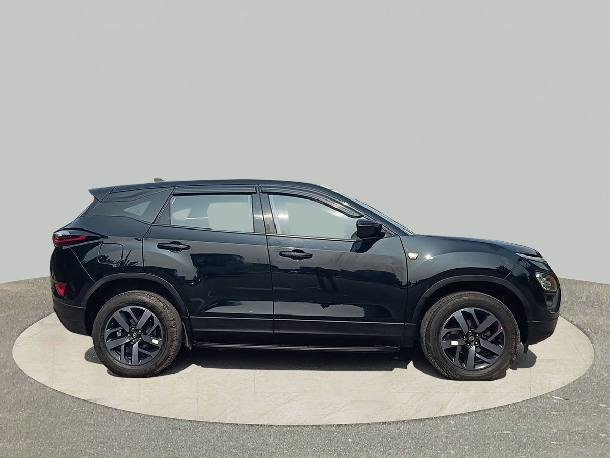 Harrier image 6 Harrier image 6