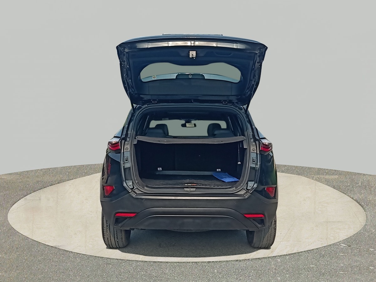 Harrier image 10 Harrier image 10