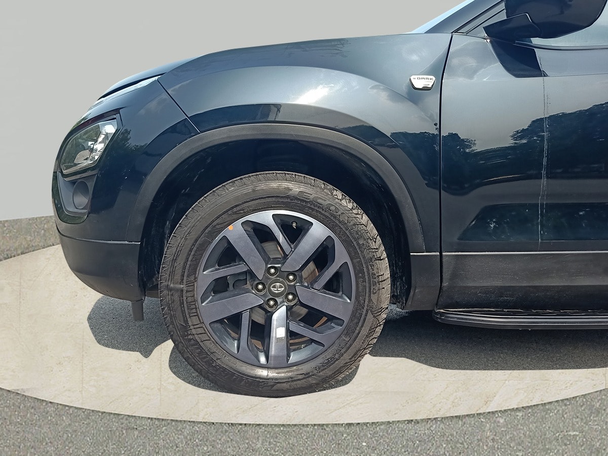 Harrier image 9 Harrier image 9