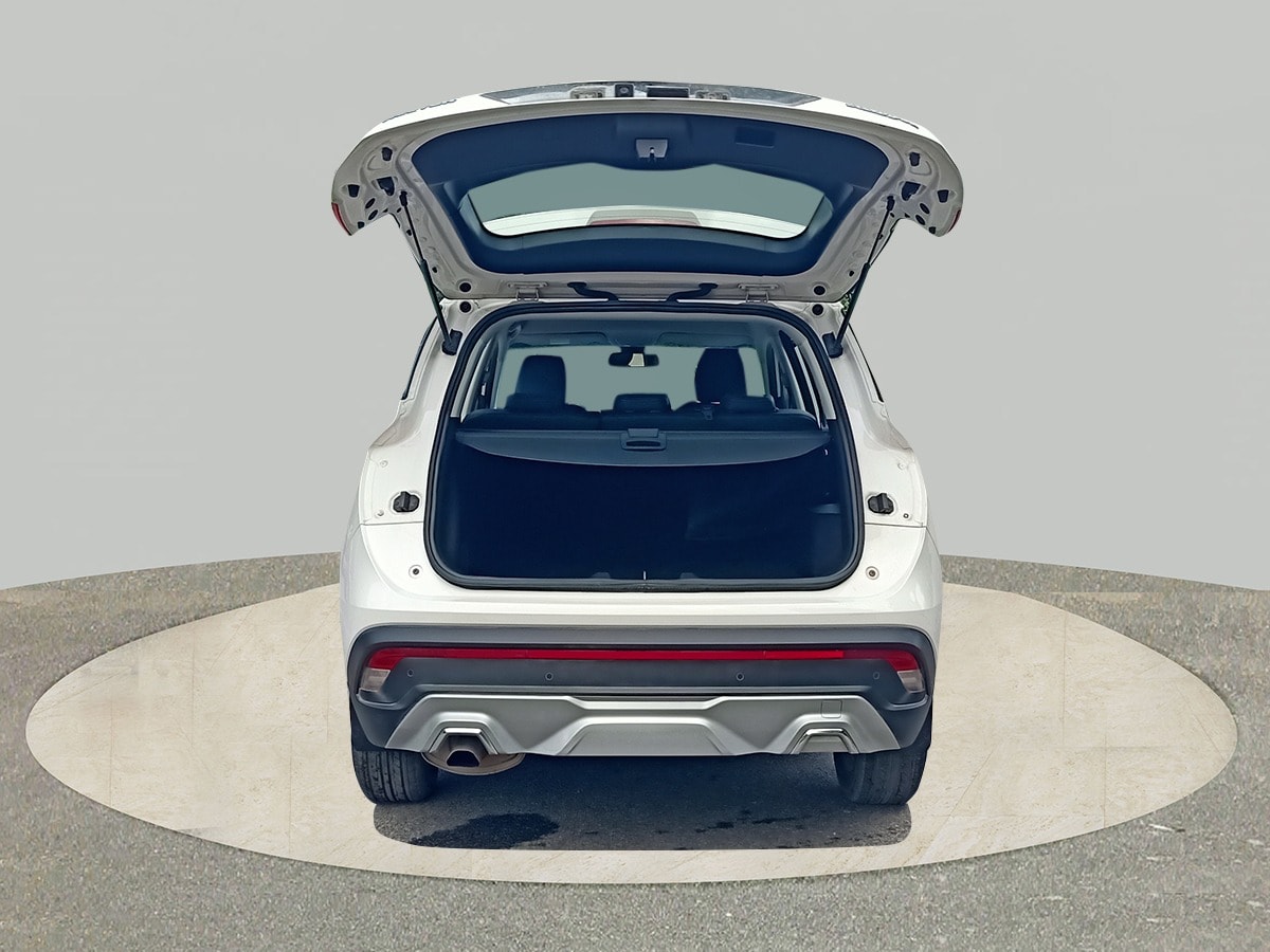 Hector image 10 Hector image 10