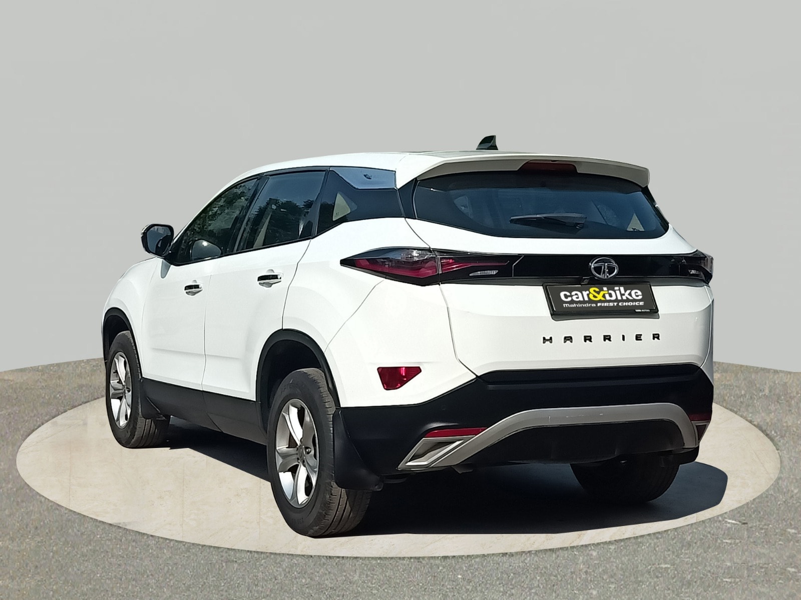 Harrier image 3 Harrier image 3