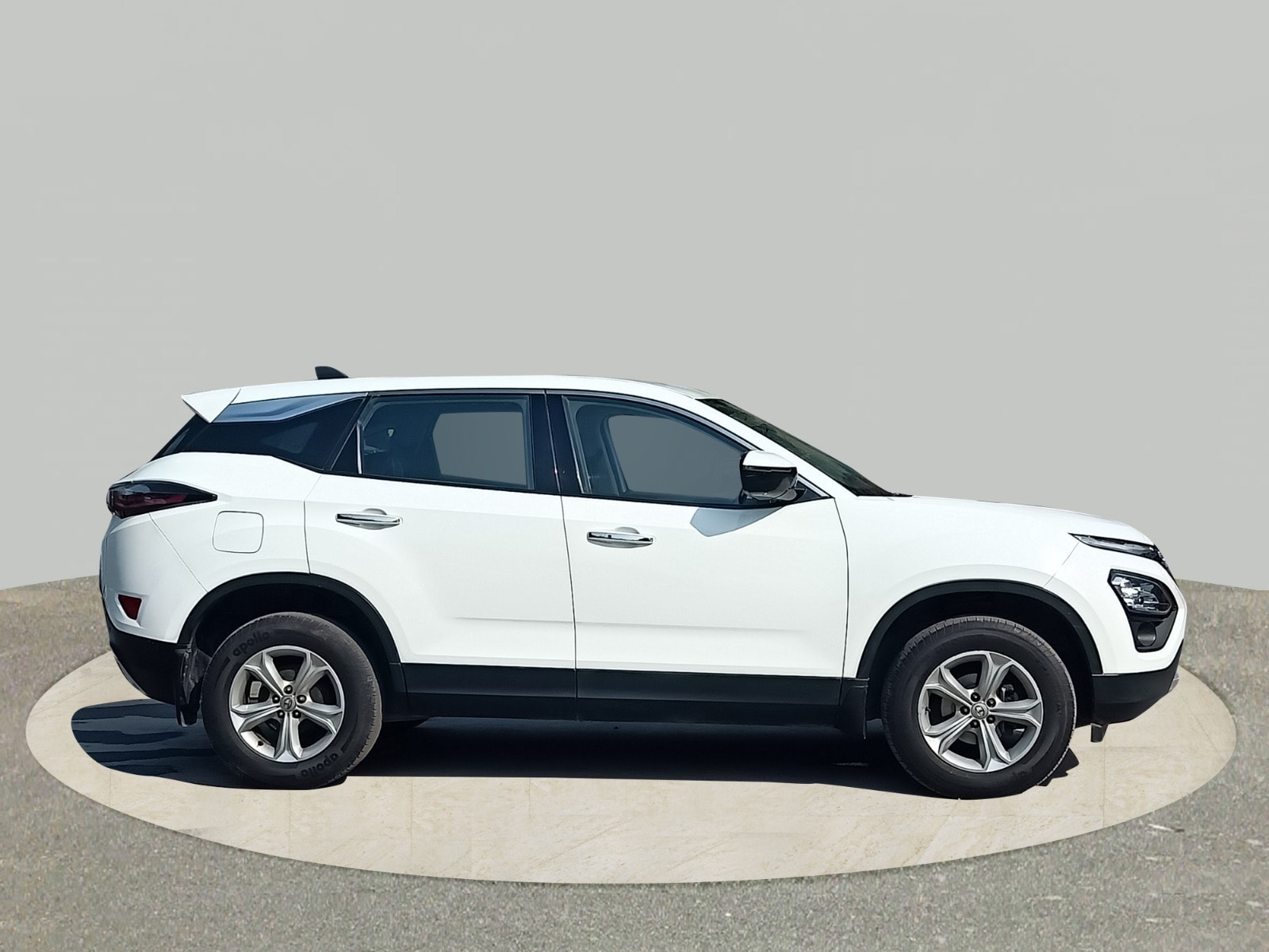 Harrier image 6 Harrier image 6