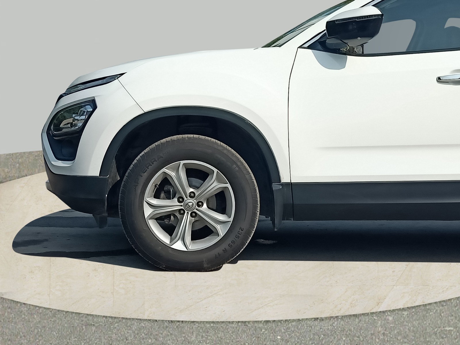 Harrier image 9 Harrier image 9