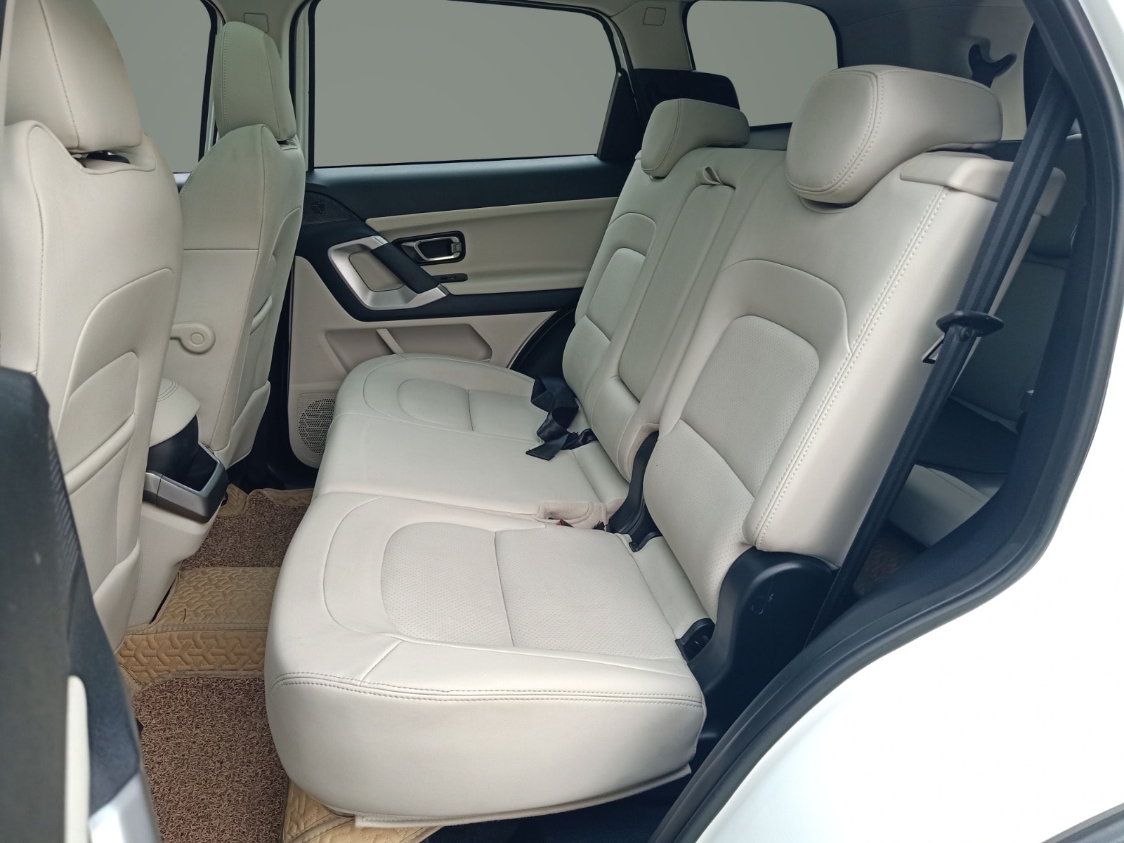 Safari image 15 Safari image 15