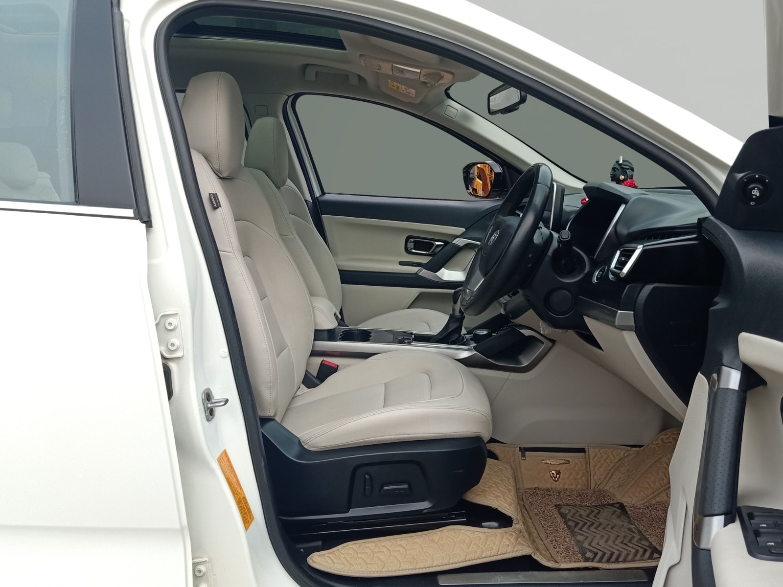 Safari image 14 Safari image 14