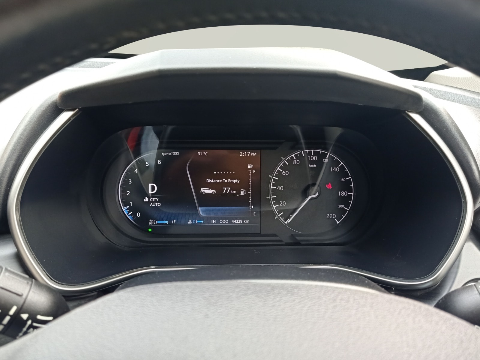 Safari image 11 Safari image 11