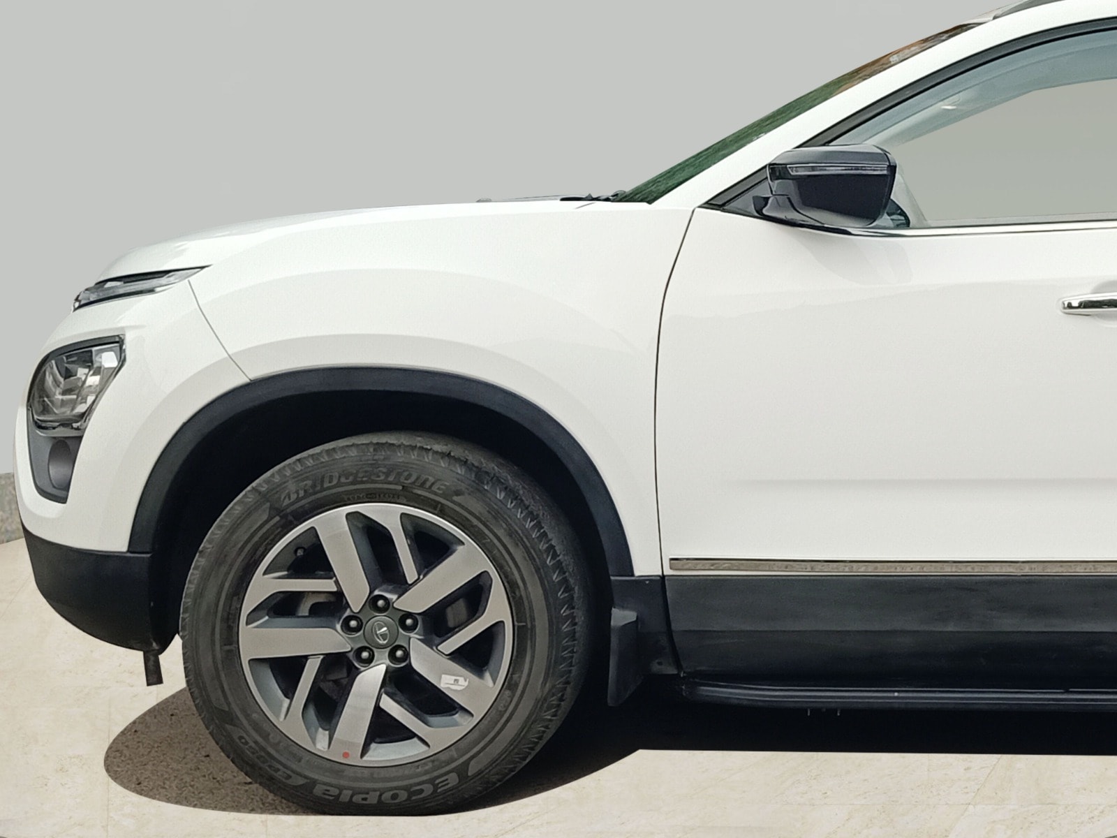 Safari image 9 Safari image 9