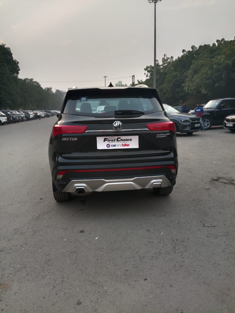 Hector image 4 Hector image 4