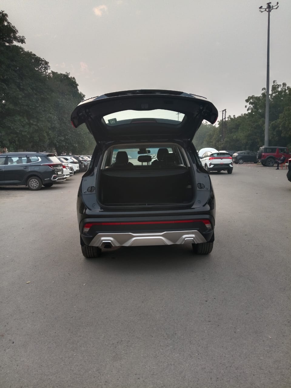 Hector image 10 Hector image 10