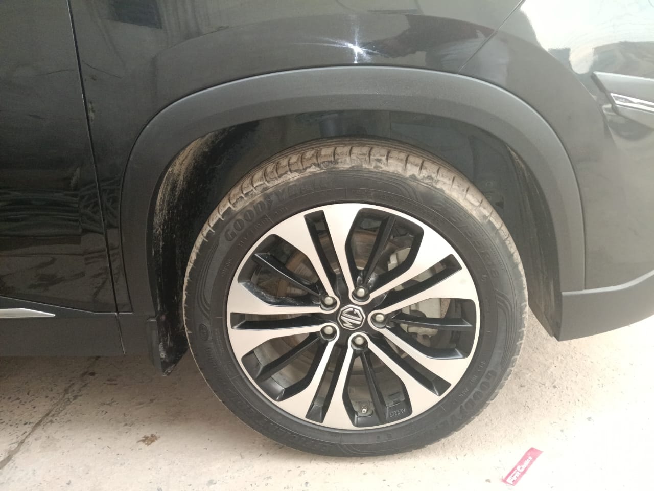 Hector image 9 Hector image 9