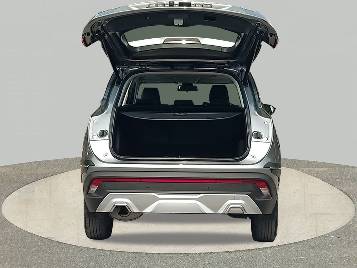 Hector image 10 Hector image 10