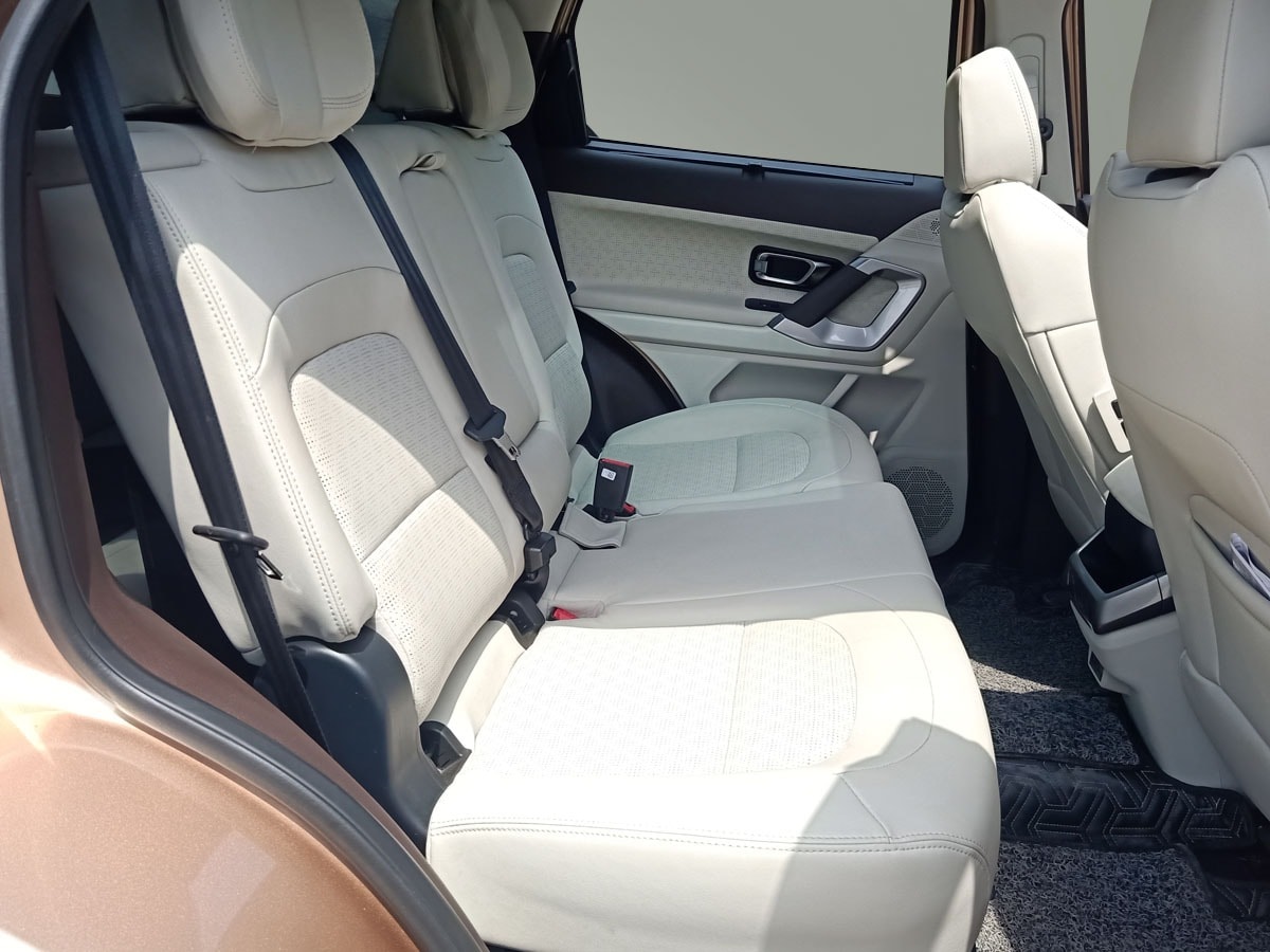 Safari image 17 Safari image 17