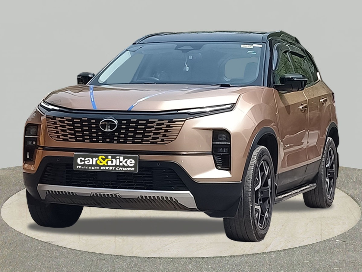 Safari image 1 Safari image 1