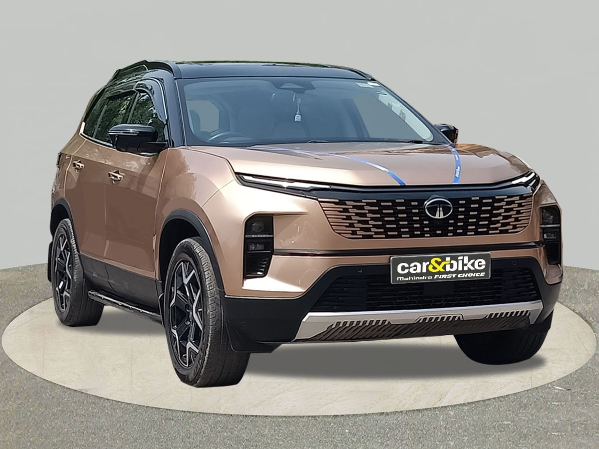 Safari image 7 Safari image 7