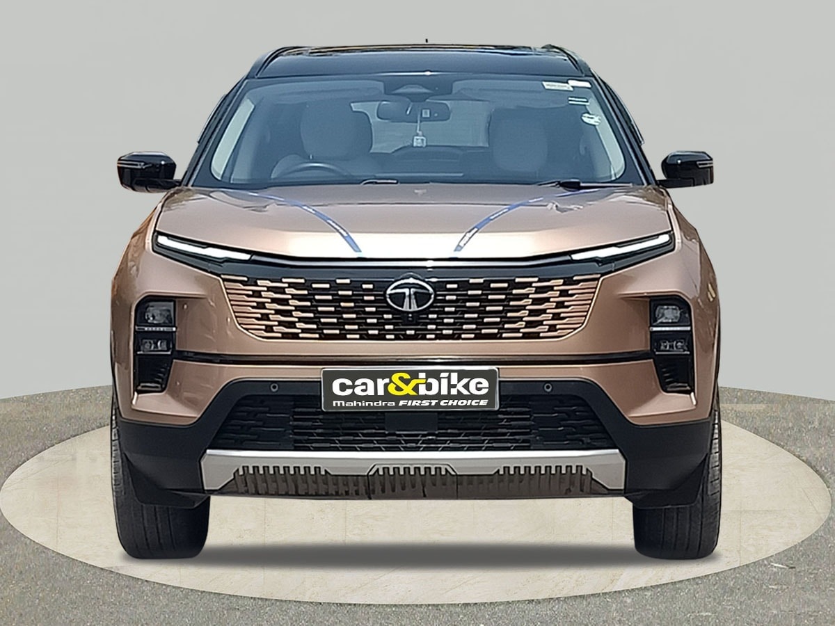 Safari image 8 Safari image 8